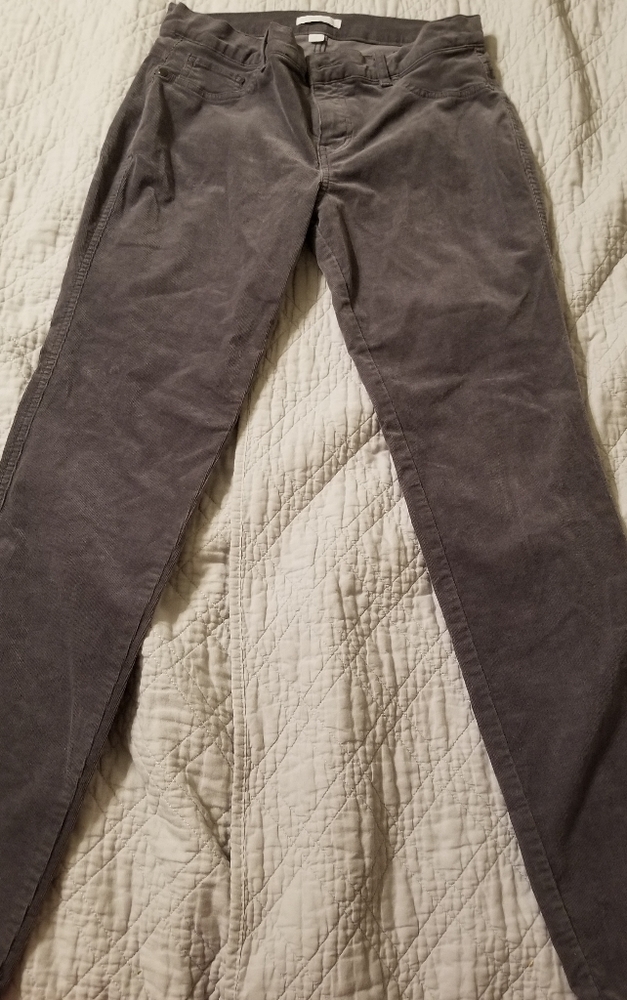 New York and Company Gray Corduroy in size 8